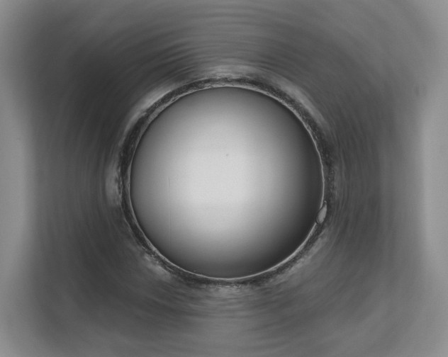 X0000111621018200907241026