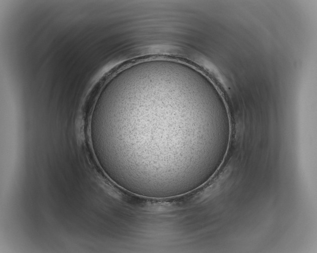 X0000111621019200907241026