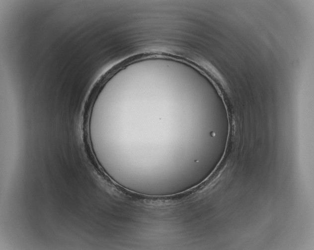X0000111621020200907241026