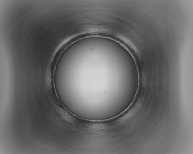 X0000111621021200907241026
