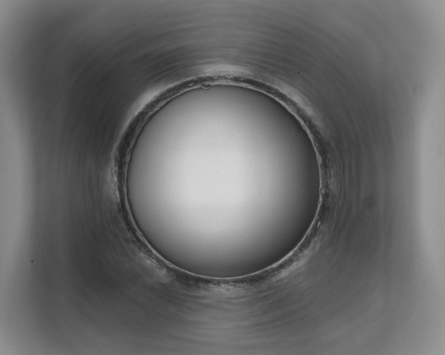 X0000111621022200907241026
