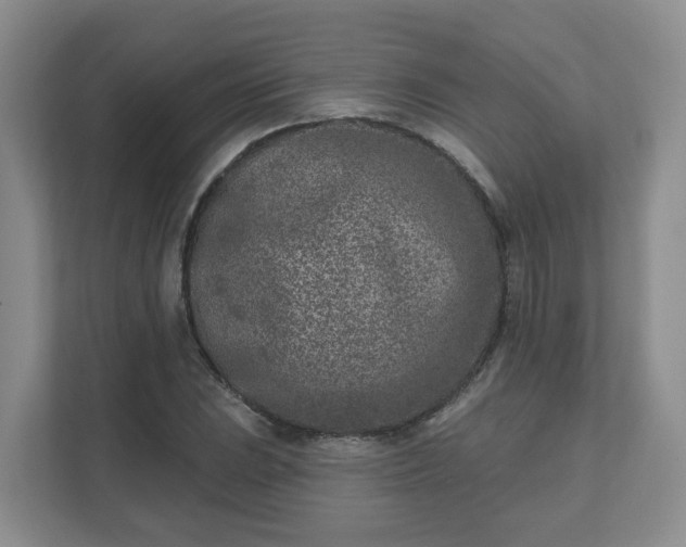 X0000111621023200907241026