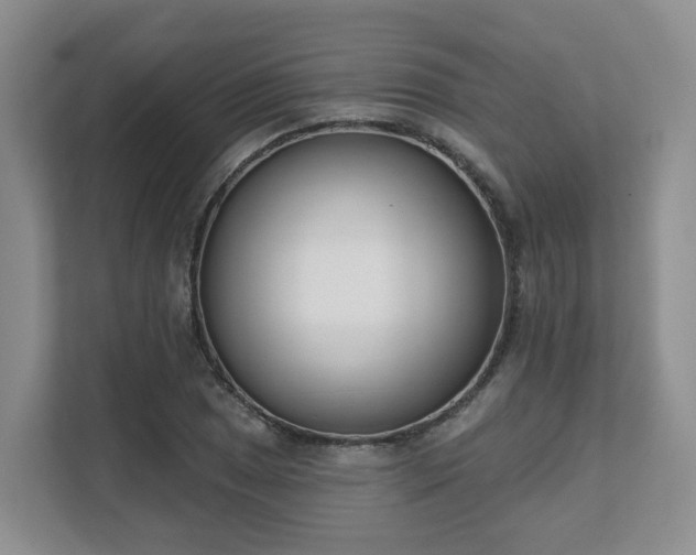X0000111621025200907241026