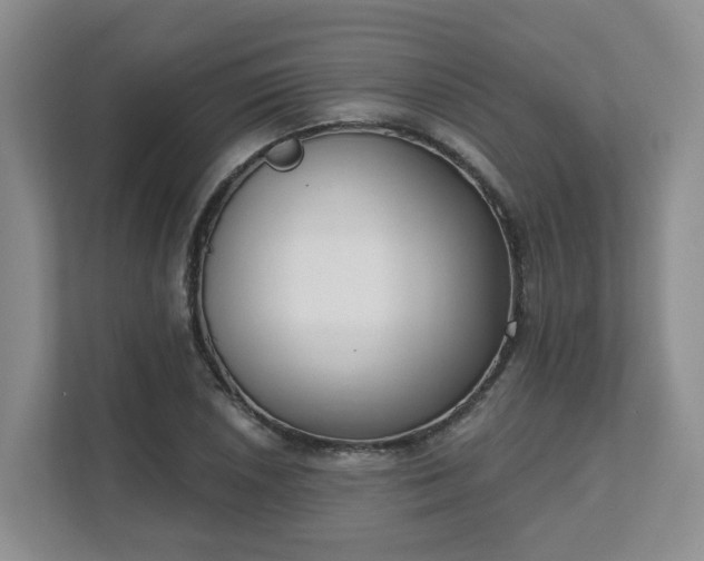 X0000111621026200907241026