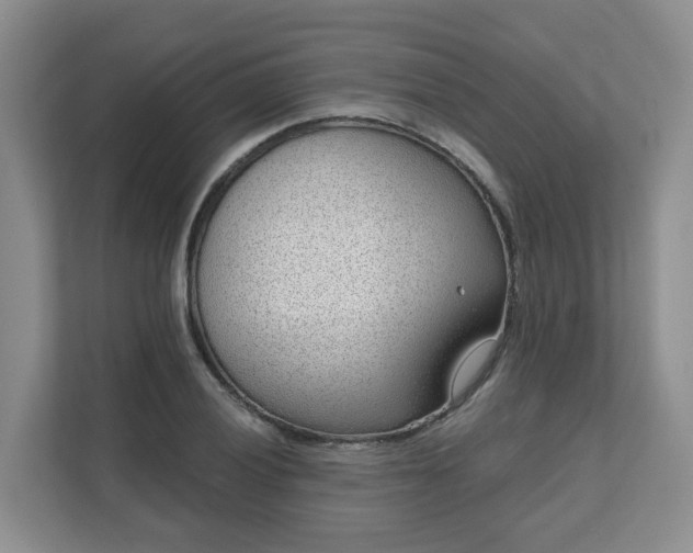 X0000111621028200907241026