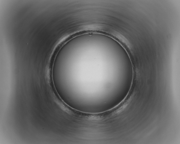 X0000111621029200907241026