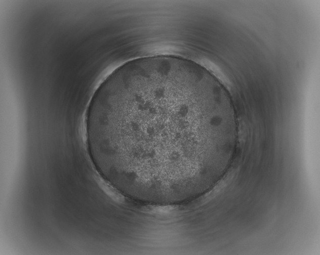 X0000111621031200907241026