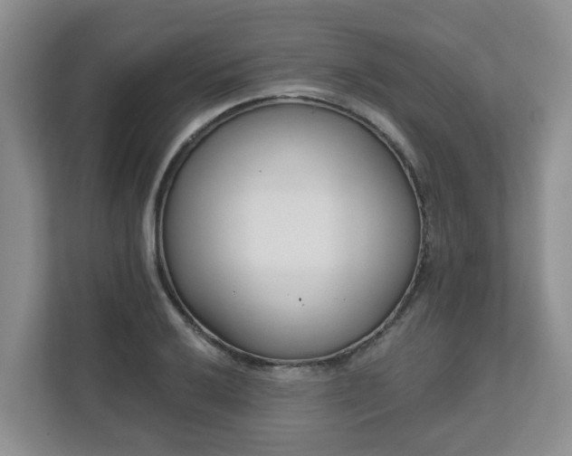 X0000111621032200907241026