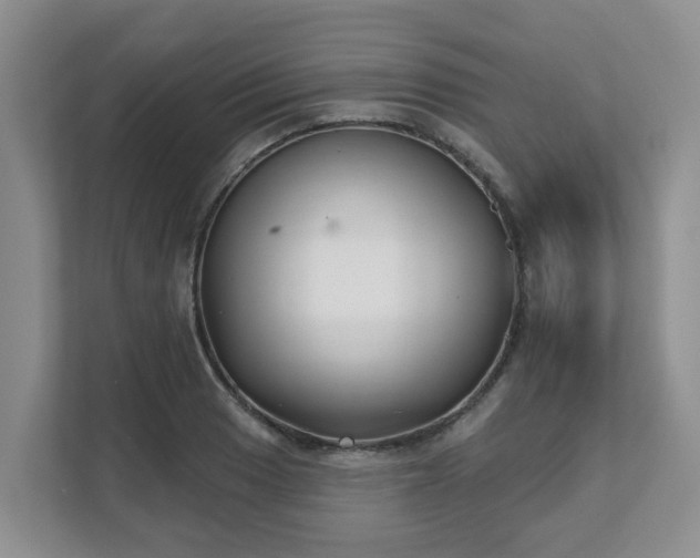 X0000111621033200907241026