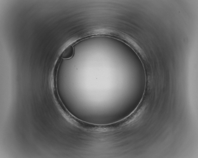 X0000111621034200907241026