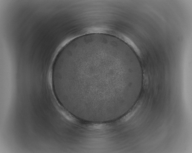 X0000111621035200907241026