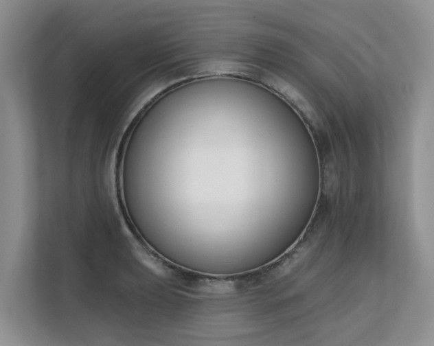 X0000111621039200907241026