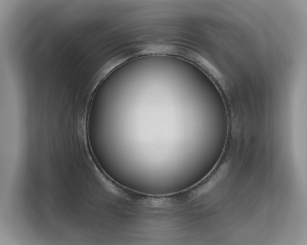 X0000111621041200907241026