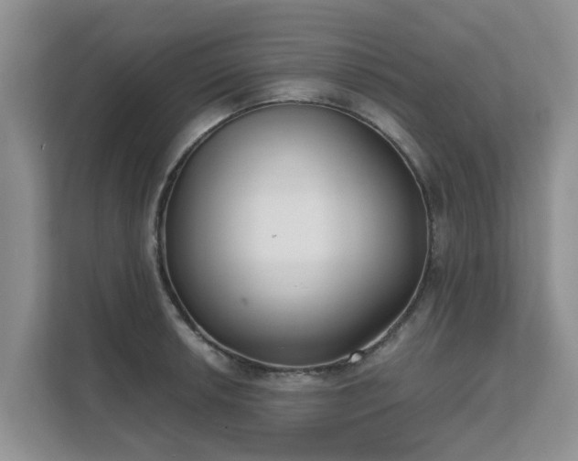 X0000111621042200907241026