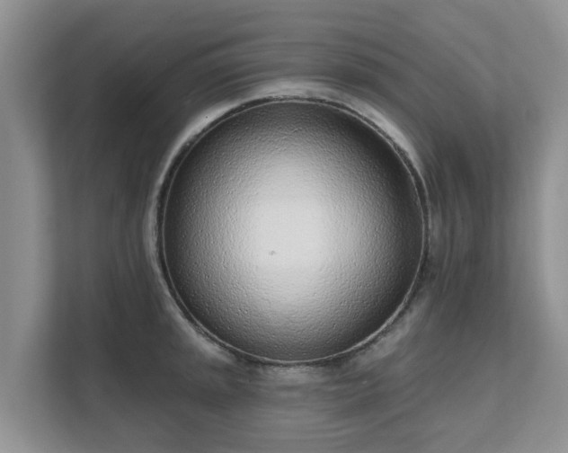 X0000111621045200907241026