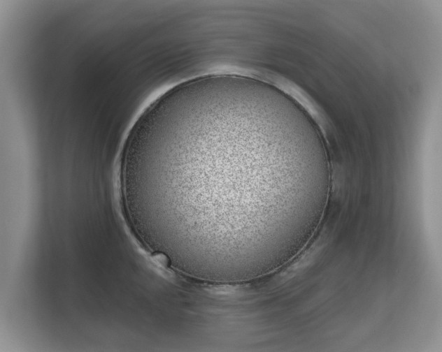 X0000111621048200907241026