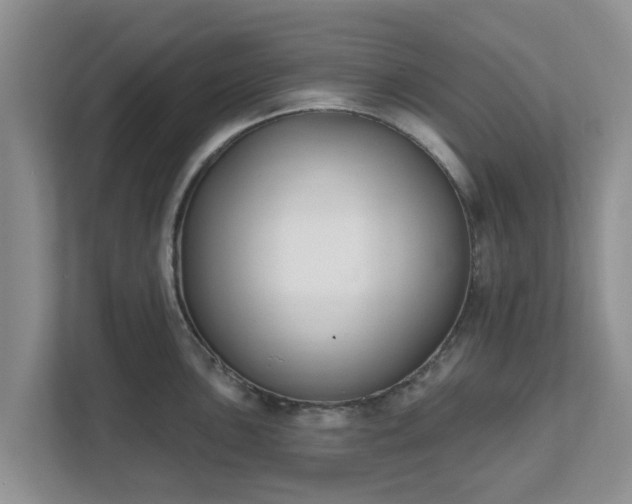 X0000111621051200907241026