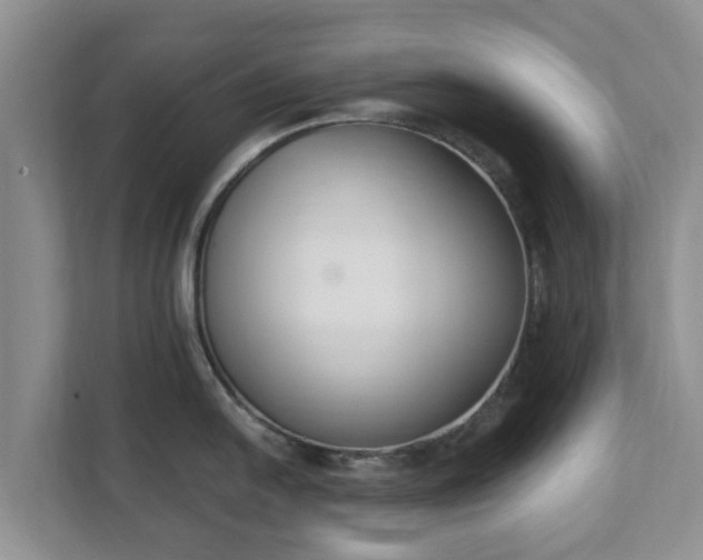 X0000111621054200907241026