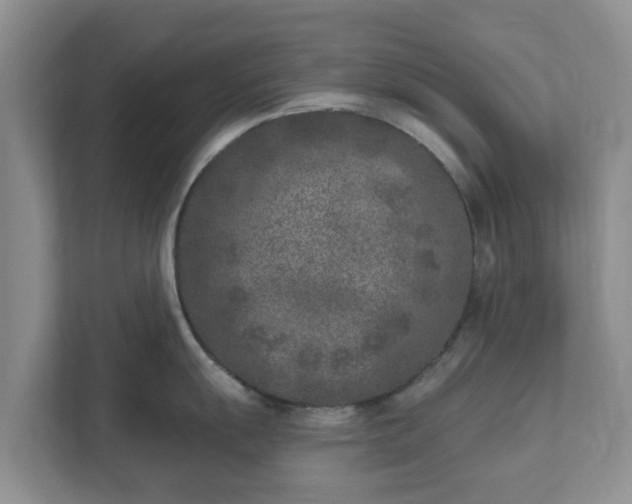 X0000111621055200907241026