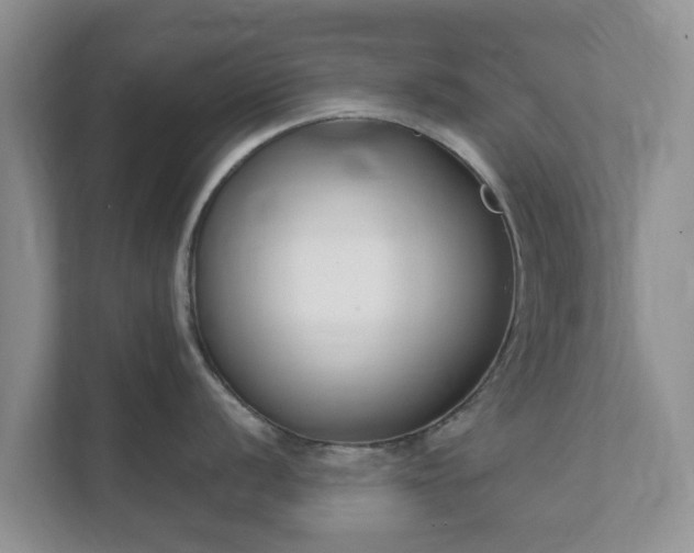 X0000111621056200907241026