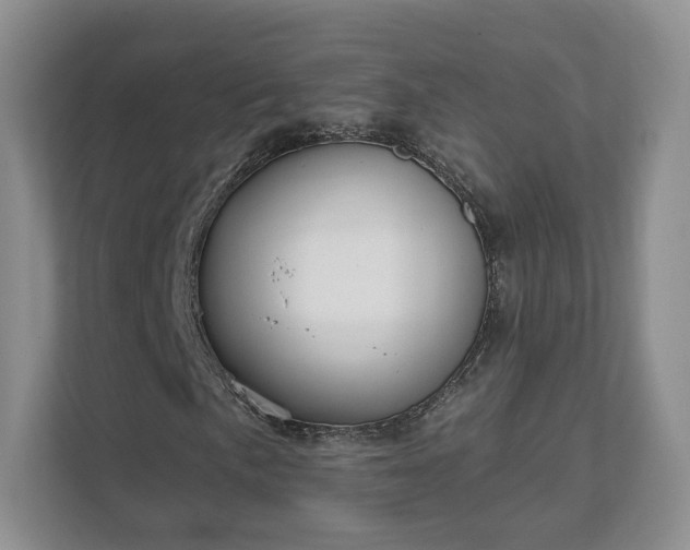 X0000111621057200907241025