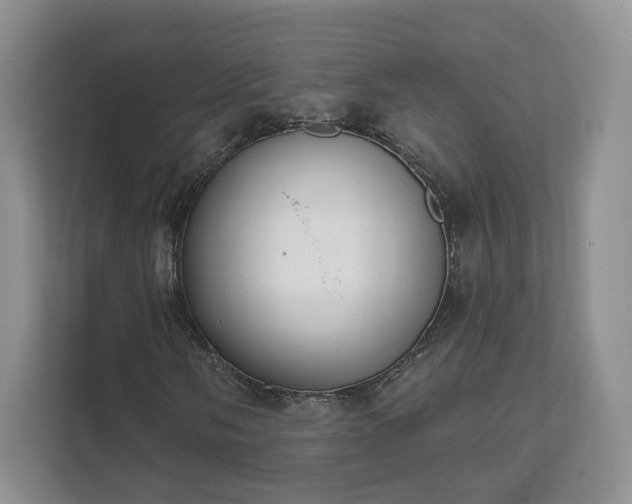 X0000111621058200907241025