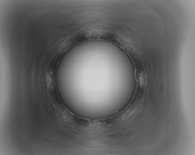 X0000111621059200907241025