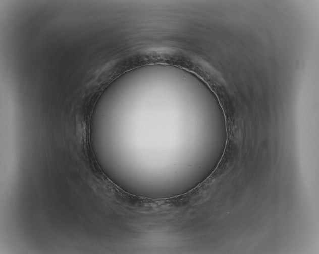 X0000111621061200907241025