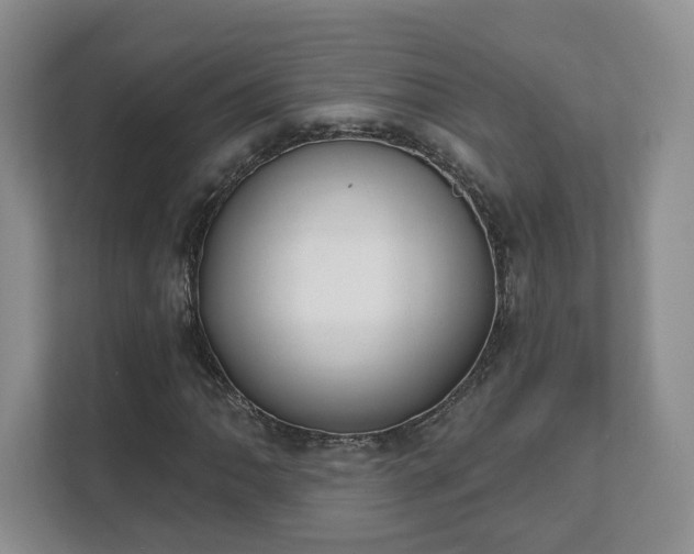 X0000111621062200907241025