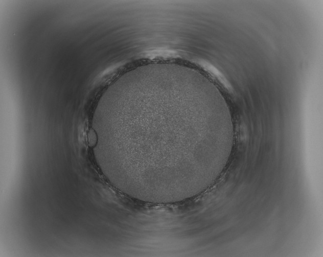 X0000111621063200907241025