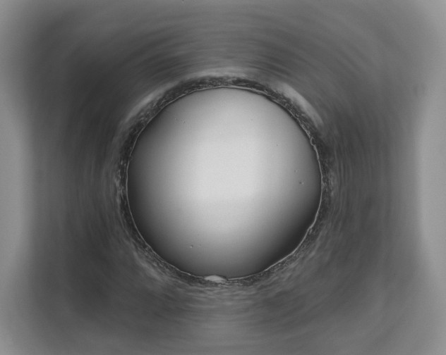X0000111621064200907241025