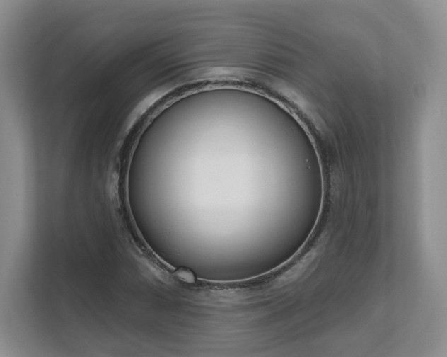 X0000111621066200907241025
