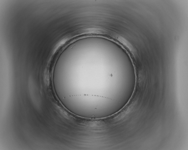 X0000111621067200907241025