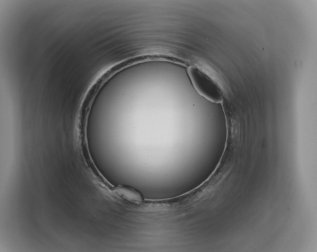 X0000111621068200907241025