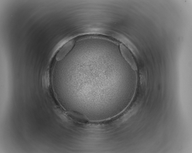 X0000111621069200907241025