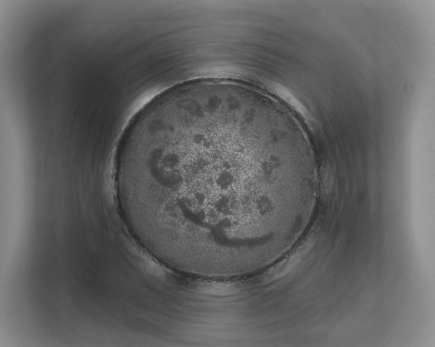 X0000111621071200907241025