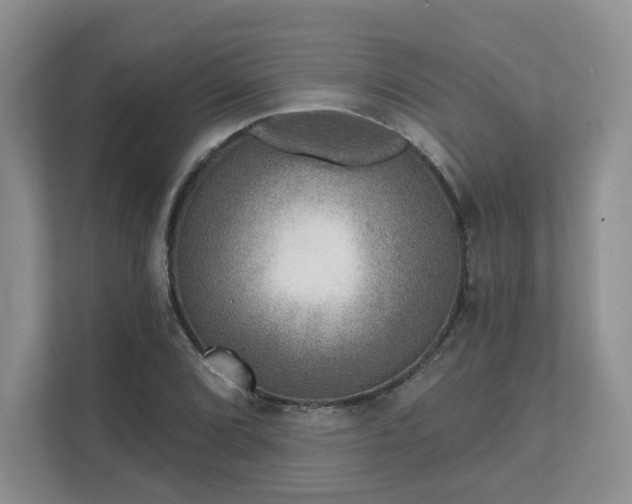 X0000111621072200907241025