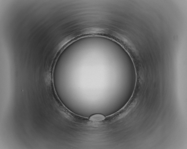 X0000111621073200907241025