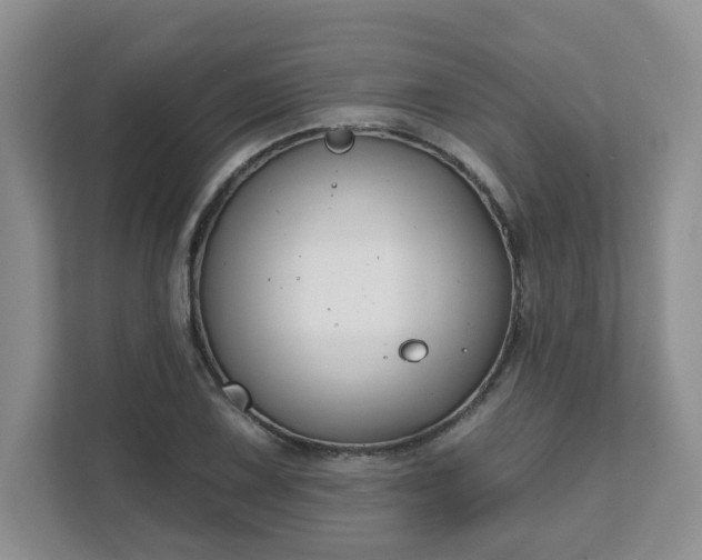 X0000111621075200907241025