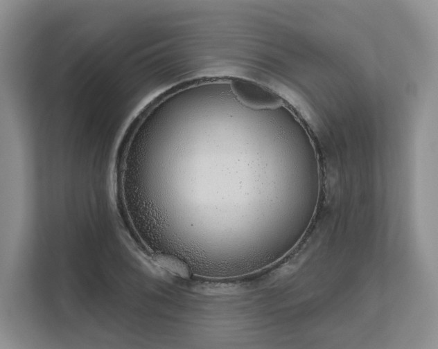 X0000111621076200907241025