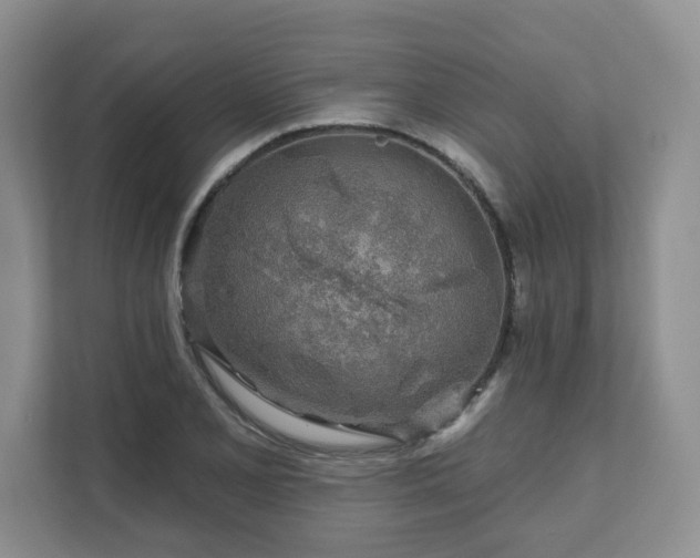 X0000111621077200907241025