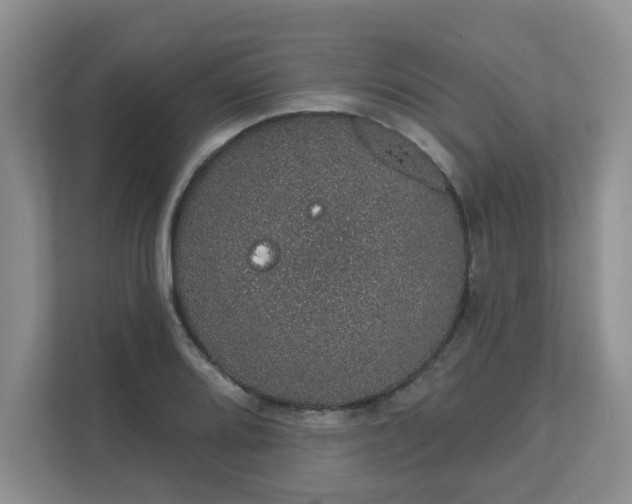 X0000111621080200907241025