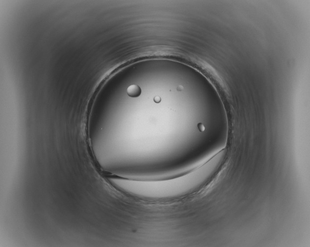 X0000111621081200907241025
