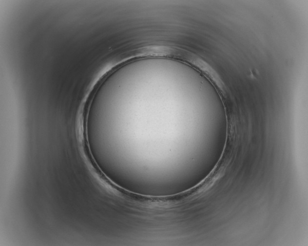X0000111621083200907241025