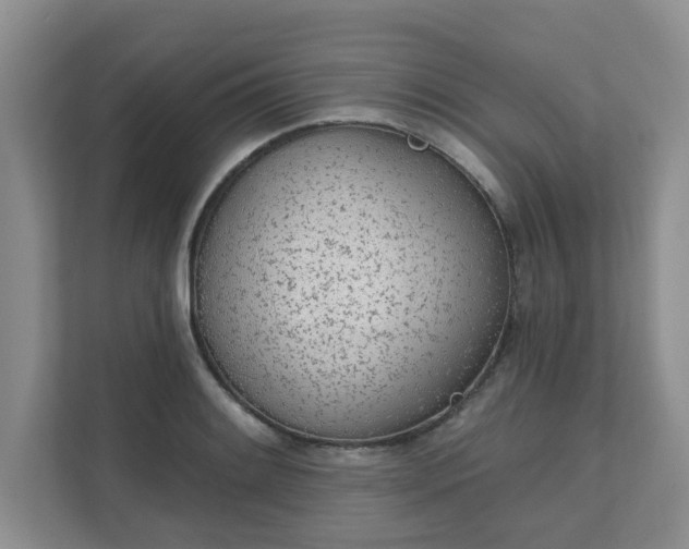 X0000111621084200907241025