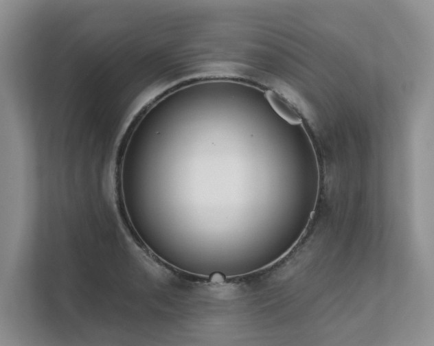 X0000111621085200907241025