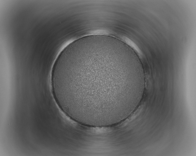 X0000111621087200907241025