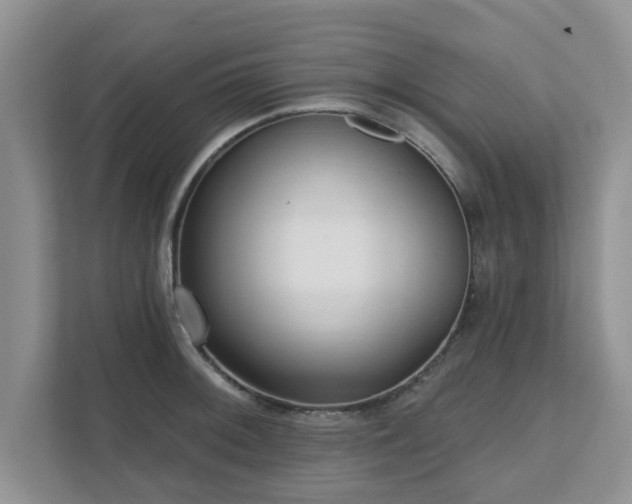 X0000111621092200907241025