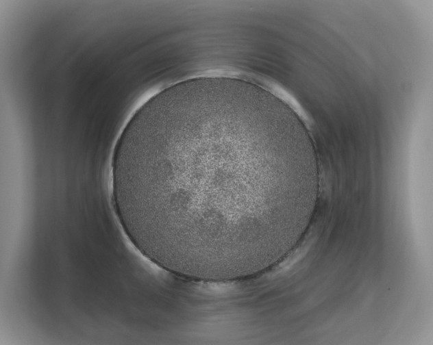 X0000111621095200907241025