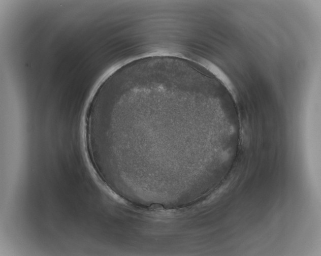 X0000111621096200907241025